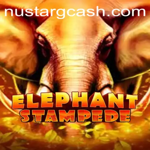 Discover the Excitement of ElephantStampede