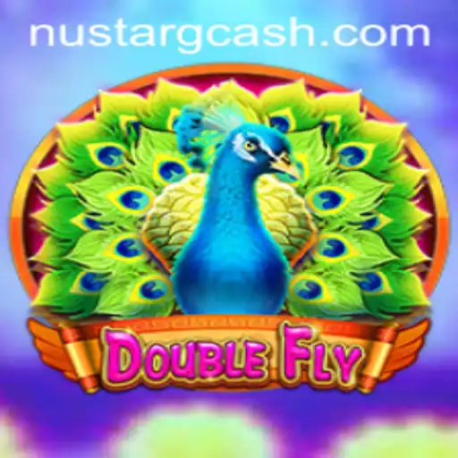 Discovering DoubleFly: Navigating the Virtual Skies with Nustar Gcash